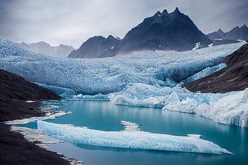 IJsschotsen in het noordpoolgebied met bergillustratie van Animaflora PicsStock