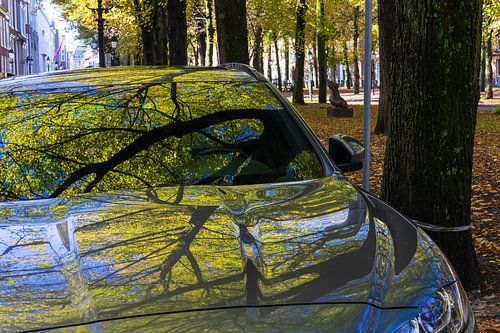 Vroege herfst op het Lange Voorhout in Den Haag