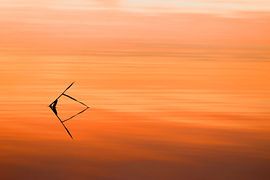 Silence on the lake by Sharon Dijkhuizen