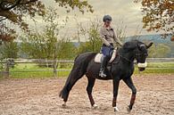 Training met het Beierse zwarte paard Baveria op een rijbak in de herfst van Babetts Bildergalerie thumbnail