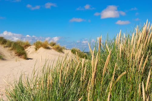 Naturimpession Texel