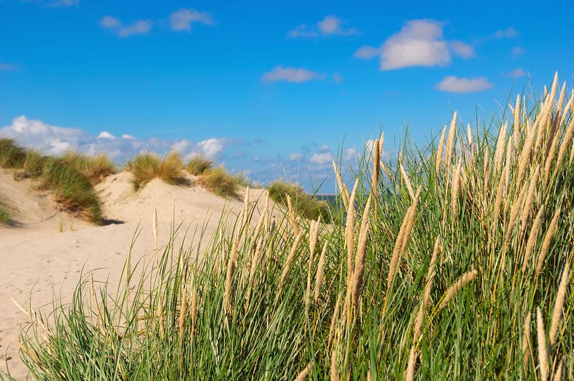 Naturimpession Texel by AD DESIGN Photo & PhotoArt