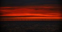 Evening red