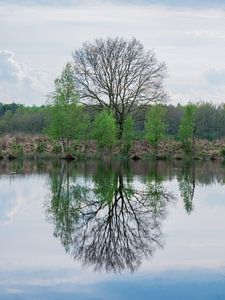 Spiegel von snippephotography