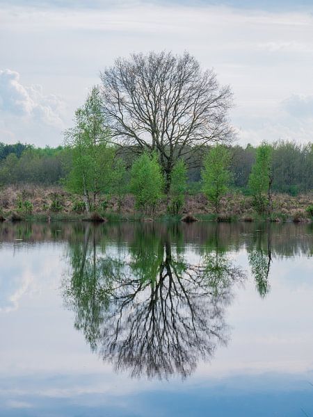Mirror by snippefotografie