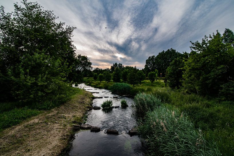 beek door een groen landschap by Niels Aben