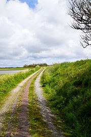 La route vers l'inconnu ? sur Maaike Goenga
