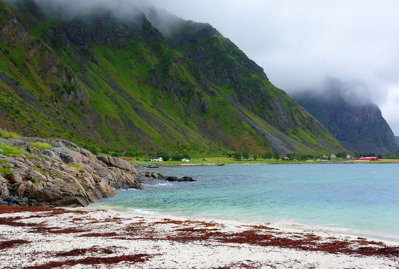 Abgelegene Idylle auf den Vesterålen von Gisela Scheffbuch