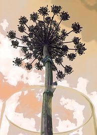 Berenklauw tegen dreigende lucht van Affect Fotografie