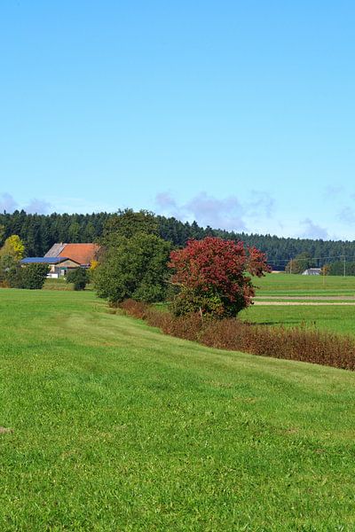 Landschaft von Daniel Dorst