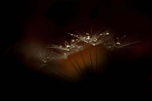 It's a dark world we live in