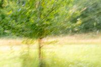 Photographie abstraite