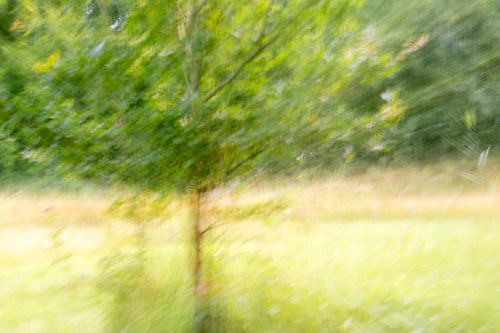 Abstracte fotografie