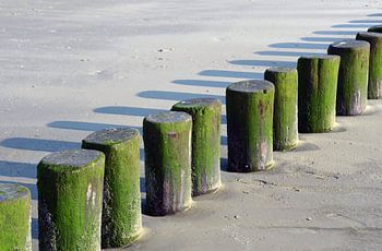 Green poles at the sea Ameland