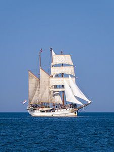 Segelschiff auf der Ostsee während der Hanse Sail in Rostock