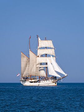 Zeilschip op de Oostzee tijdens de Hanse Sail in Rostock van Rico Ködder