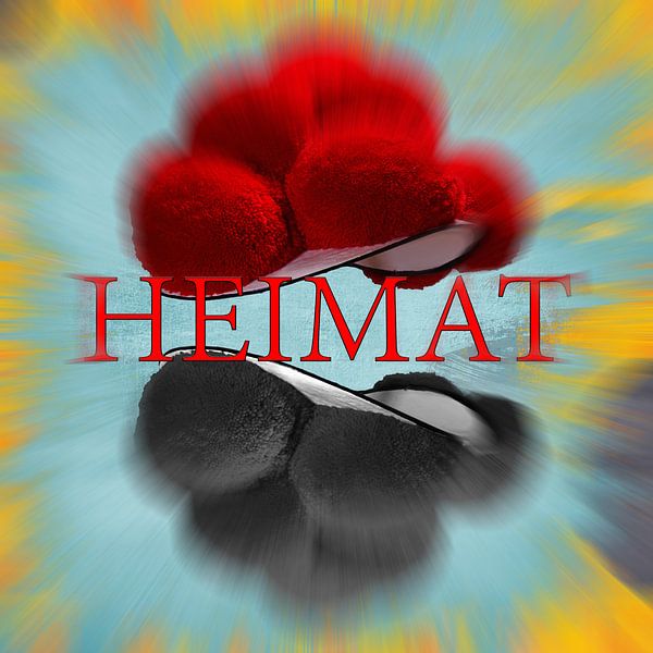 Zwarte Woud Bollen Hut ART 6.0 van Ingo Laue