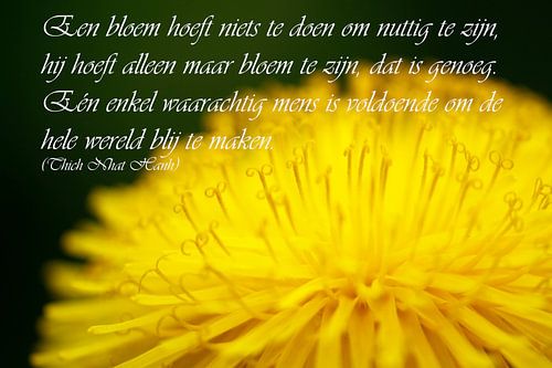 Een bloem hoeft niets te doen om nuttig te zijn