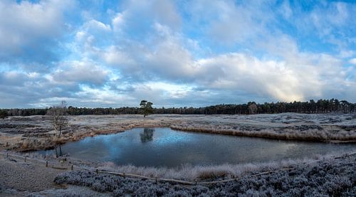 L'hiver au domaine Heidestein Bornia à Driebergen Zeist