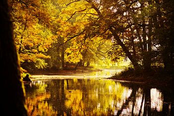 Zonnige herfstdag op landgoed Nieuw Rande