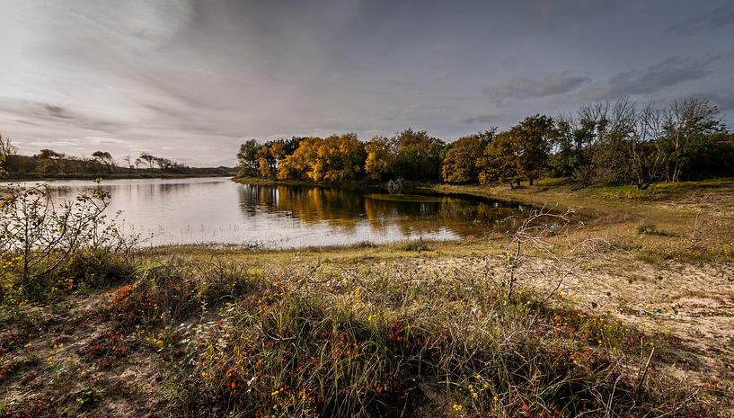 Herfst in Meijendel by Arno dreef
