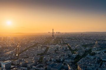Paris Skyline with the Eiffel Tower