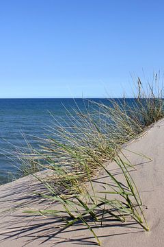 Meeresblick von Ostsee Bilder