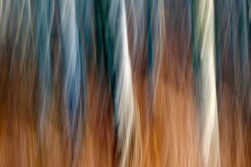 berkenbomen abstract van Desiree Tibosch