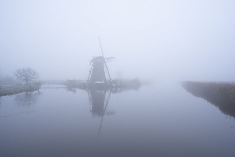 Foggy landscape Kinderdijk by Björn van den Berg