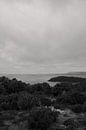 View Tasmania, Australia by Meike Molenaar thumbnail