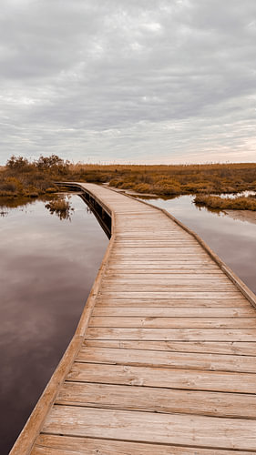 A peaceful walk through the watery landscape