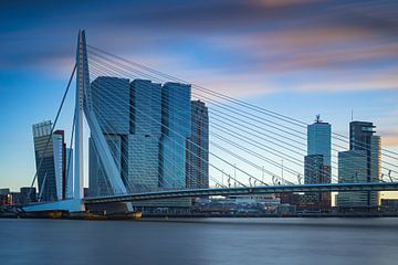 Skyline van Rotterdam van gaps photography