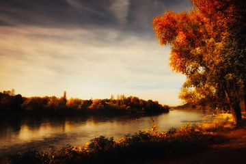 Herbst von Dagmar Marina