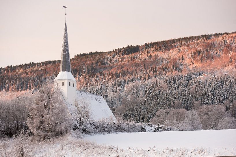 Stabkirche von Lillehammer von Jarno van Bussel