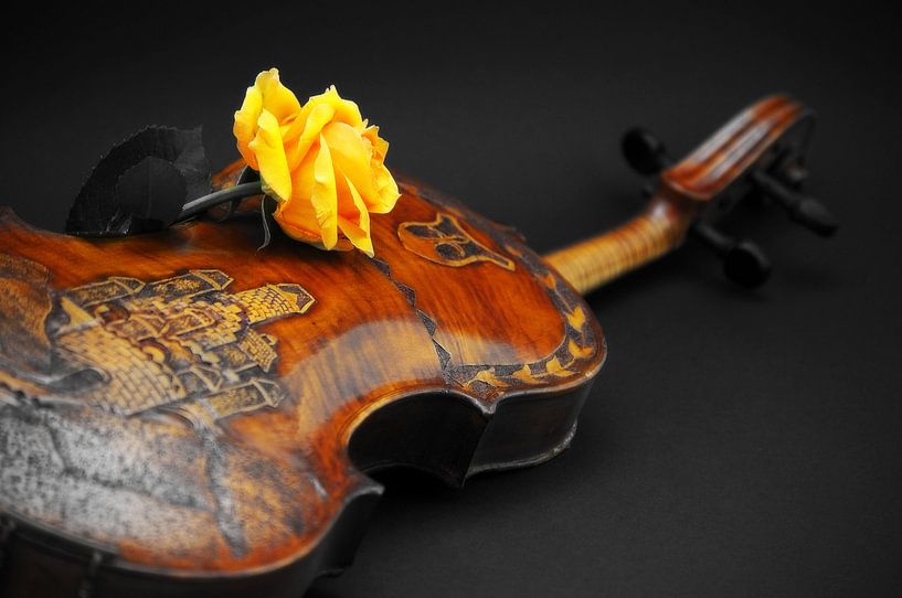 La música von AD DESIGN Photo & PhotoArt