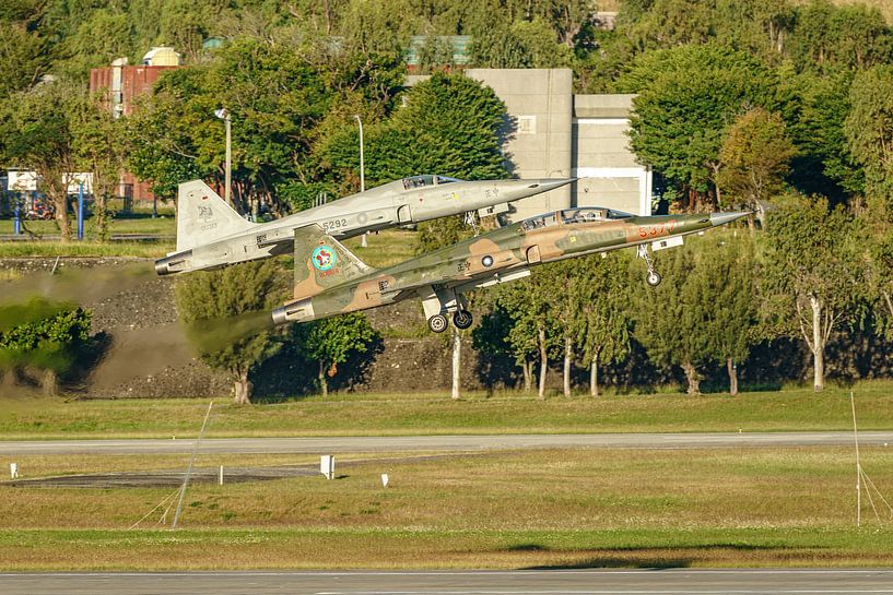 Taiwanesische Northrop F-5F und F-5E Tiger II. von Jaap van den Berg