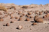 Mondtal im Ischigualasto N.P. von Antwan Janssen Miniaturansicht