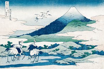 Japanse kunst ukiyo-e. Katsushika Hokusai Umezawa Manor in de provincie Sagami van Dina Dankers