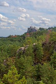 Blick auf die Burgruine Regenstein bei Blankenburg (Sachsen-Anhalt) von t.ART