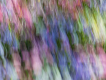 Blossom Dance – Abstract Nature Wall Art