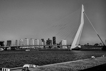 Erasmusbrug Rotterdam von Eisseec Design