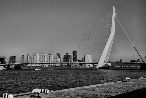 Erasmusbrug Rotterdam