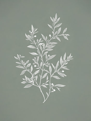 Delicate Botanical Drawing
