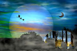 Traumpfad von Vera Laake