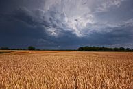 Drohendes Unwetter von Malte Pott Miniaturansicht