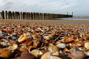 Schelpenstrand von Patrick van Lent