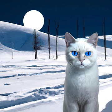 Witte kat met op achtergrond een winter landschap in de nacht met volle maan van Maud De Vries