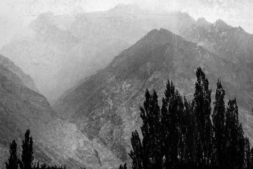 Trees in the misty mountains in black and white by Imaginative