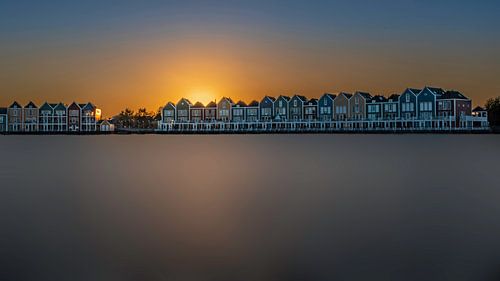 Rietplas bij ondergaande zon