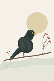 Common Blackbird — Hawthorn Dusk by Gleb Zaitsev